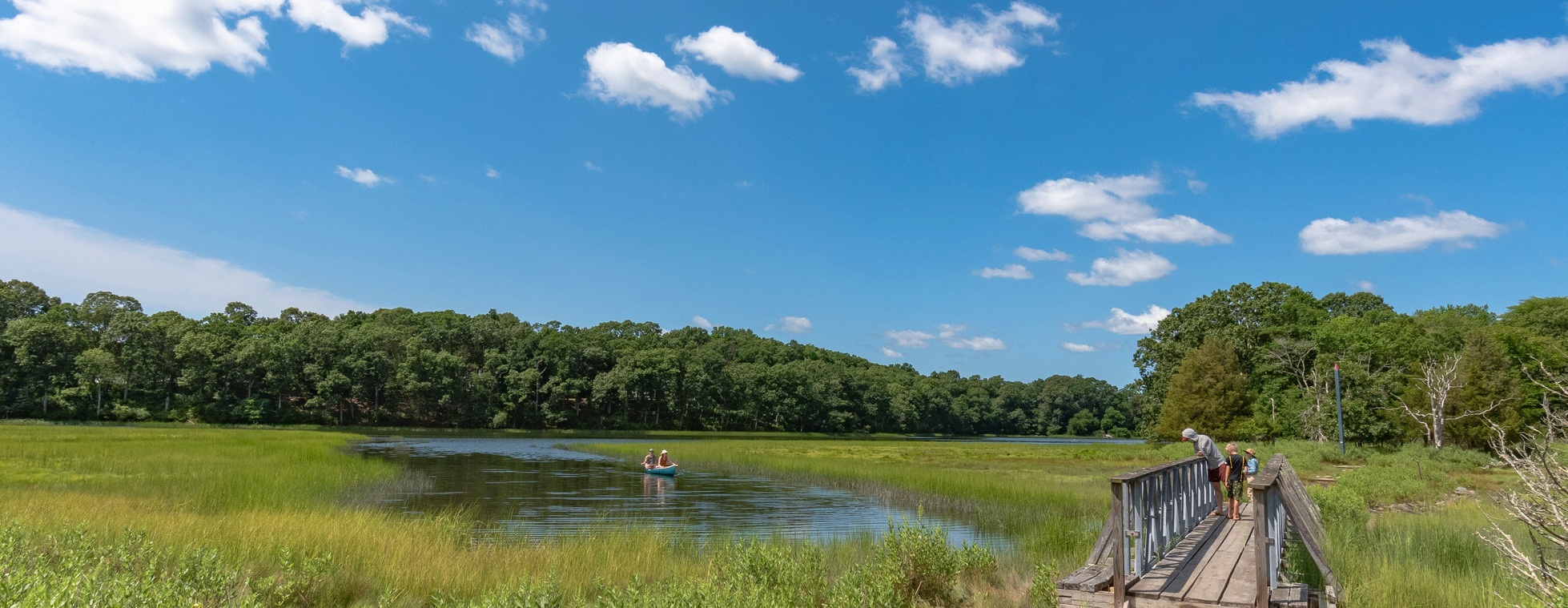 Audubon Field Naturalist Series